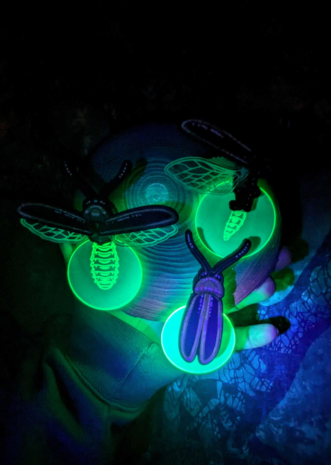 Firefly Specimen