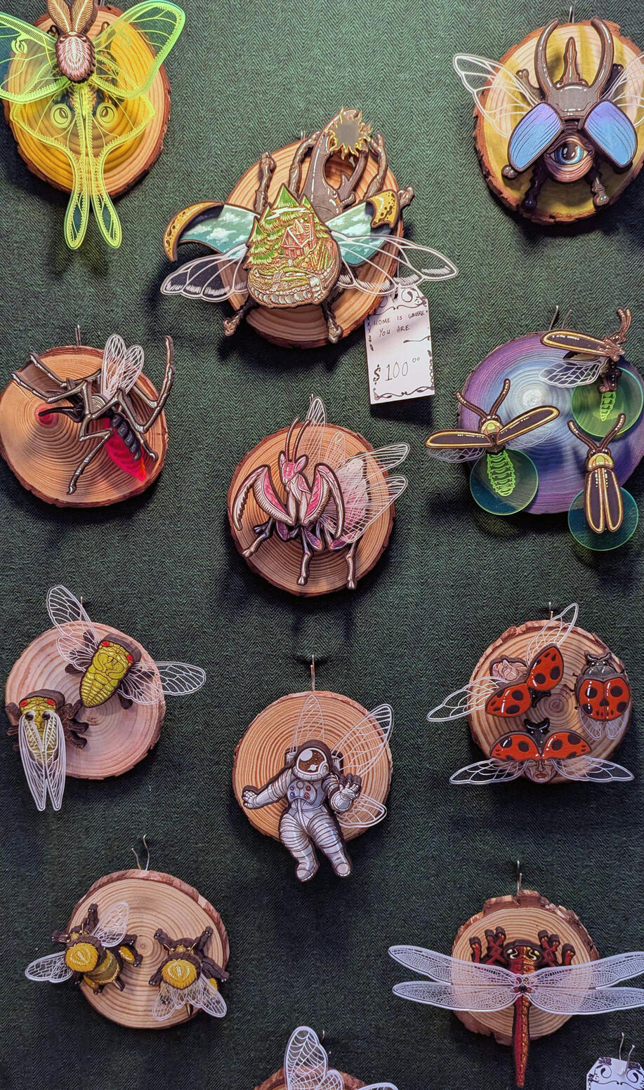 Bug Specimens