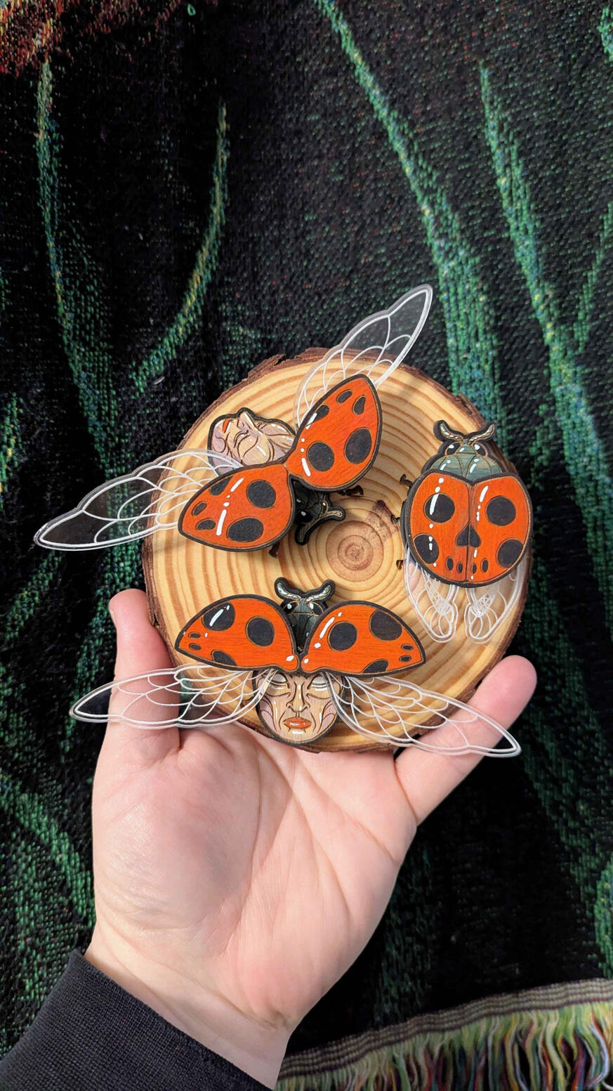 Lady Bugs Specimen